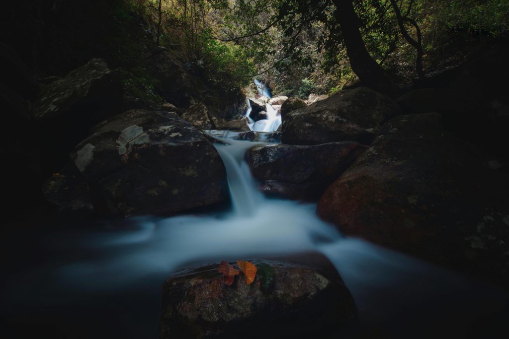 “Water is the most perfect traveller because when it travels it becomes the path itself!”